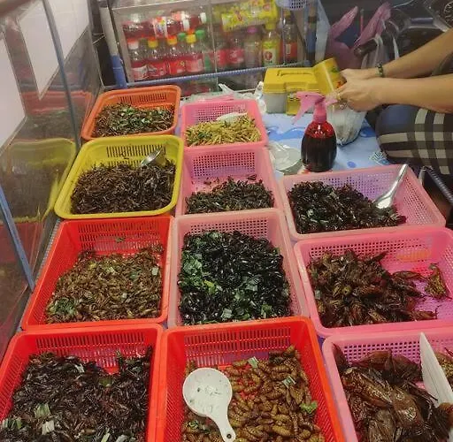 辉煌夜市 4房泳池花园别墅 订4日提供免费接机一次 * Bangkok